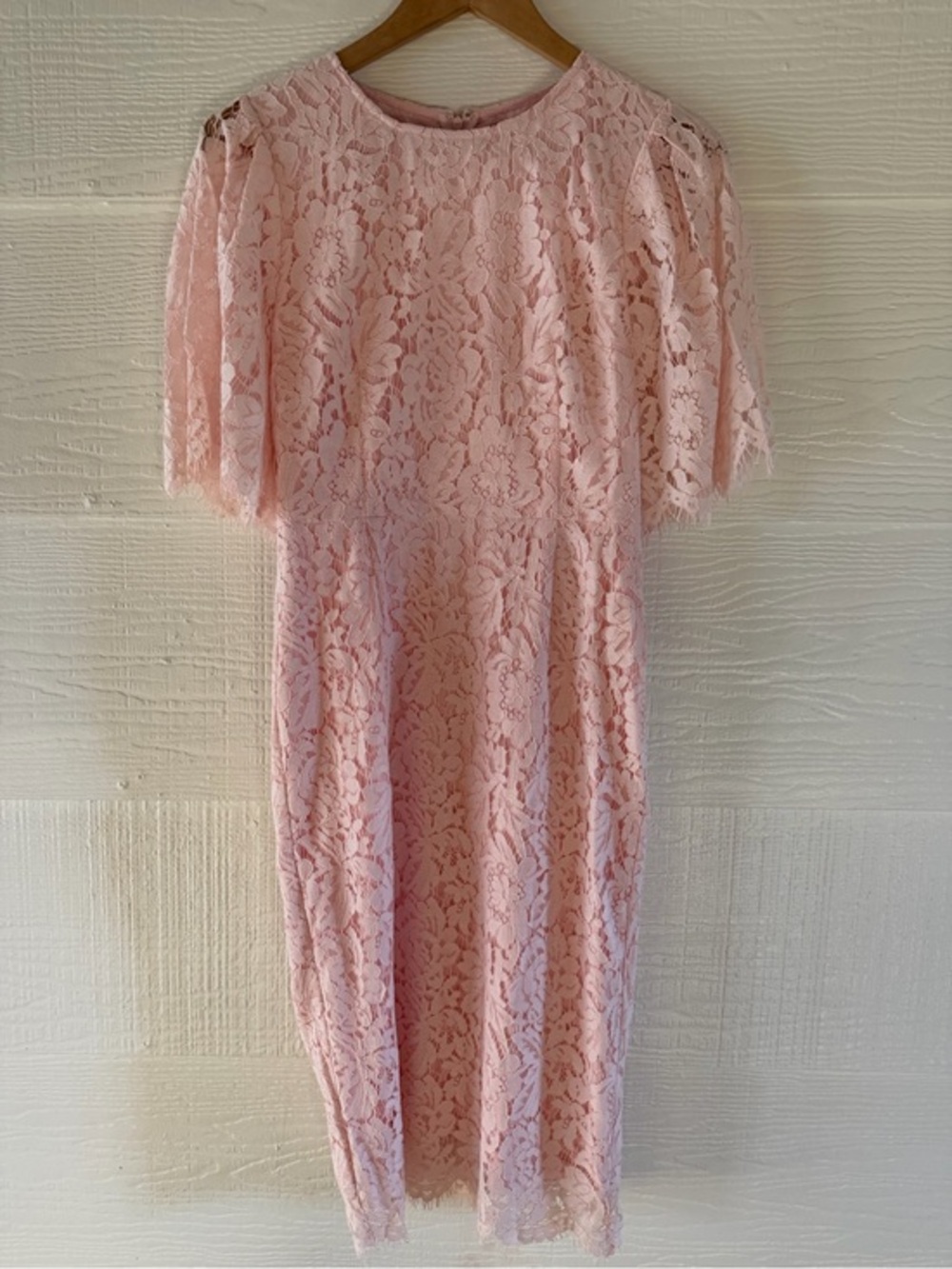 Rachel Parcell Blush Pink Floral Lace Sheath Dress Size Small
